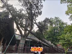 -晋祠公园