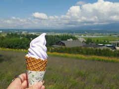 -富田农场
