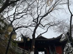 -白帝城·瞿塘峡景区