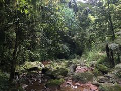 -赤水丹霞旅游区·佛光岩