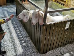 -上海大自然野生昆虫馆(东方明珠·爬宠昆虫探索中心)