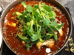 乌江豆腐鱼火锅-泉味道贵州厨房(三里河店)