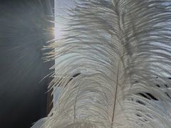 -泉客厅LAPUTA·天空之城
