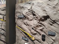 -湖南省地质博物馆