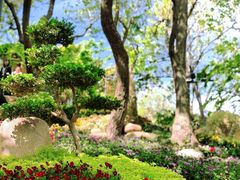 -青岛海滨风景区小鱼山