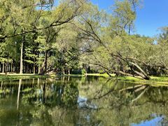 -上海共青森林公园