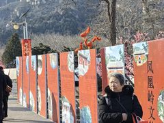 -北京凤凰岭