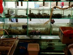 -来之顺海鲜菜馆·青岛菜(栈桥店)