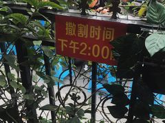 -左撇子私房面