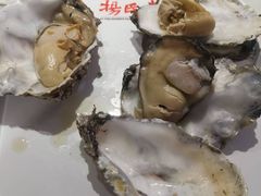 -杨氏青龙虾·羊蝎子(托乐嘉店)