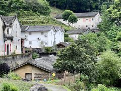 -雁南飞茶田景区