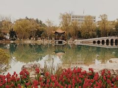 -北湖公园