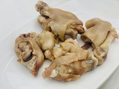 -丁老爷子苏香圆