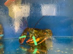 -雅逸居海鲜小厨