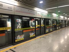 -杨高南路(地铁站)