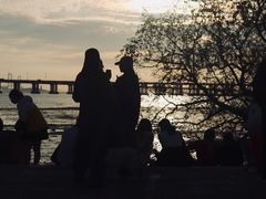 -宝安西湾红树林湿地公园