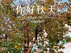 -好利来(东四店)