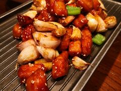 -老板恋上鱼(荣盛广场店)