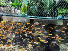 -太平洋海底世界