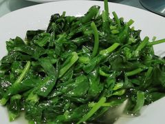 清炒豆苗-太湖饭店·寄畅轩中餐厅