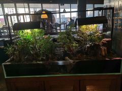 -ELEVEN COFFEE(哈西万达广场店)