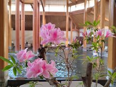 -和顺柏联温泉