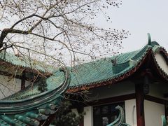 -桂湖森林公园