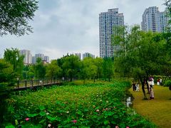 -沐仙湖湿地公园