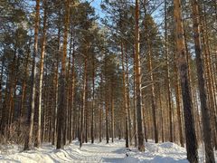 -北极村旅游风景区