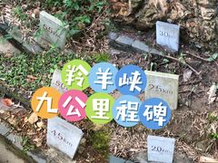 -羚羊峡古栈道森林公园