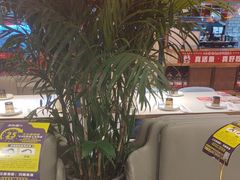 -三江源活鱼现烤(维多利摩尔城店)