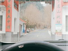 -王顺山国家森林公园