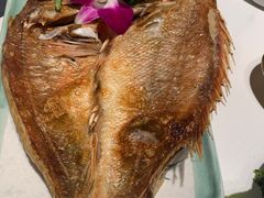-红沃鳗鱼黑牛烤肉店(不老街店)