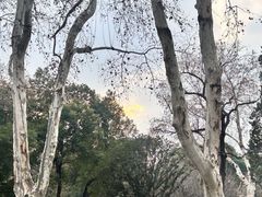 -安徽大学(龙河校区)