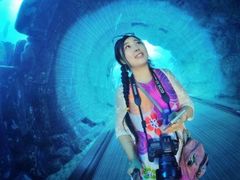 -迪拜水族馆及水下动物园