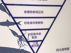 -同济大学四平路校区深海探索馆