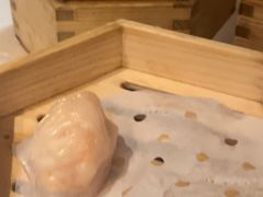 -点都德·毕德寮