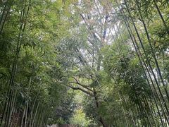 -新荣记(西溪湿地店)