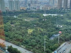 -君悦酒店·乐厨·高空自助餐(青年大街店)