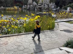 -大明幻境第一城