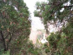 -遵化市禅林寺古银杏风景园