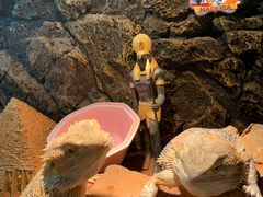 -Mr·Kuma酷么先生雪之乐园