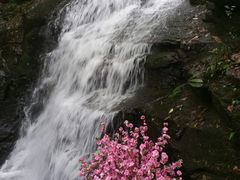 -藏龙百瀑风景区