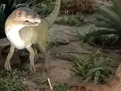 -湖南省地质博物馆