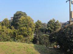 -张坝桂圆林公园