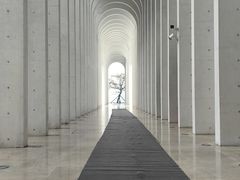 -中国宣纸文化园
