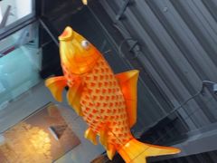 -向川南·水煮鱼·川菜(和平里店)