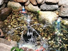 -清真·京华源铜锅涮肉(丰庆店)