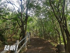 -紫金山山顶公园