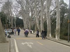 -武汉大学-樱园